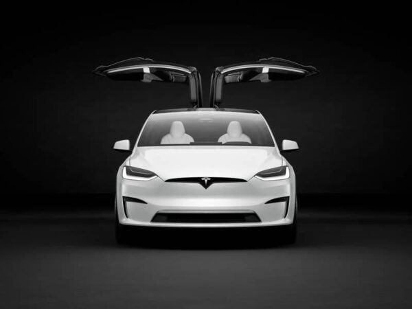 Tesla Model X Silver Package: 2 HR self guided tour