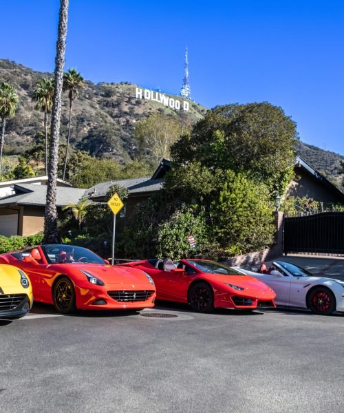IRLS Fleet Front Hollywood Sign
