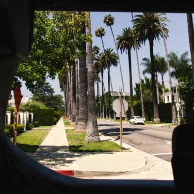 Bus tour Los Angeles palm trees